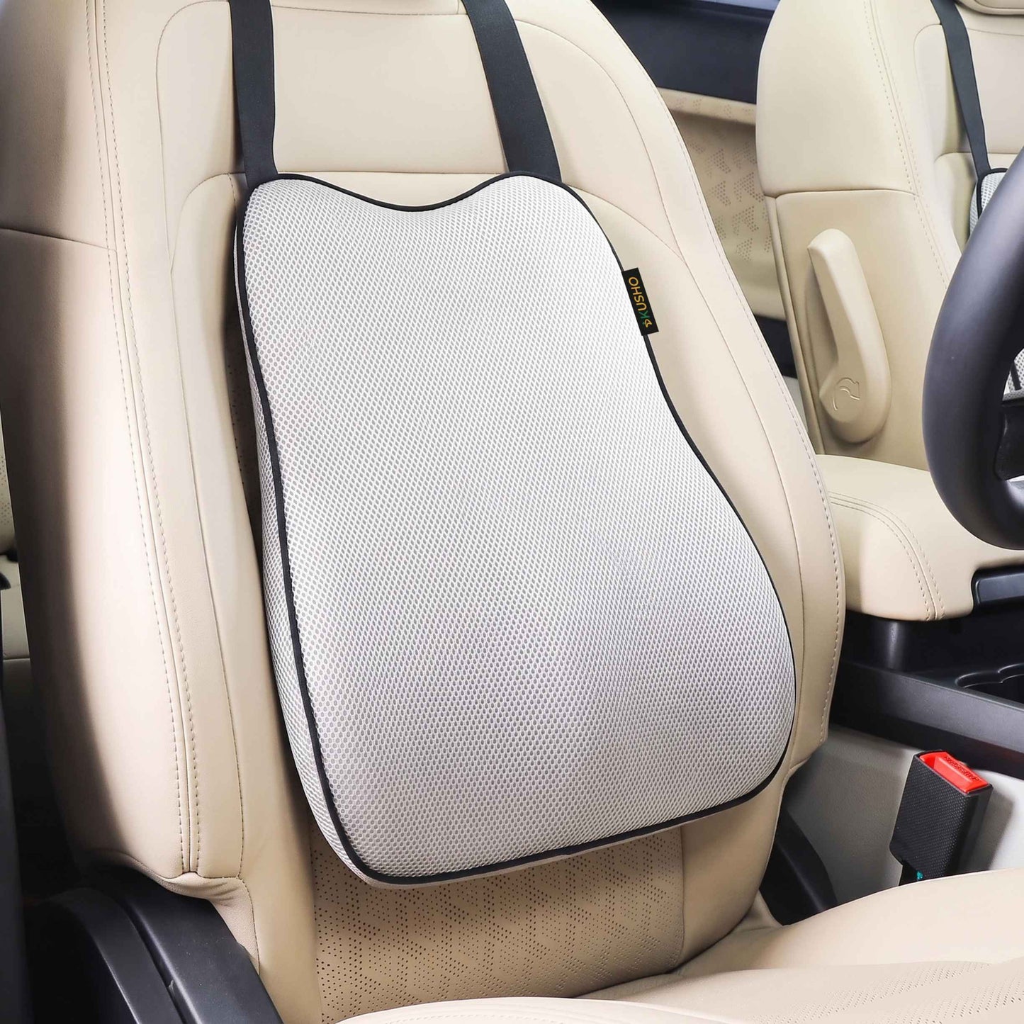 Kusho Car Spine Rest Cushion