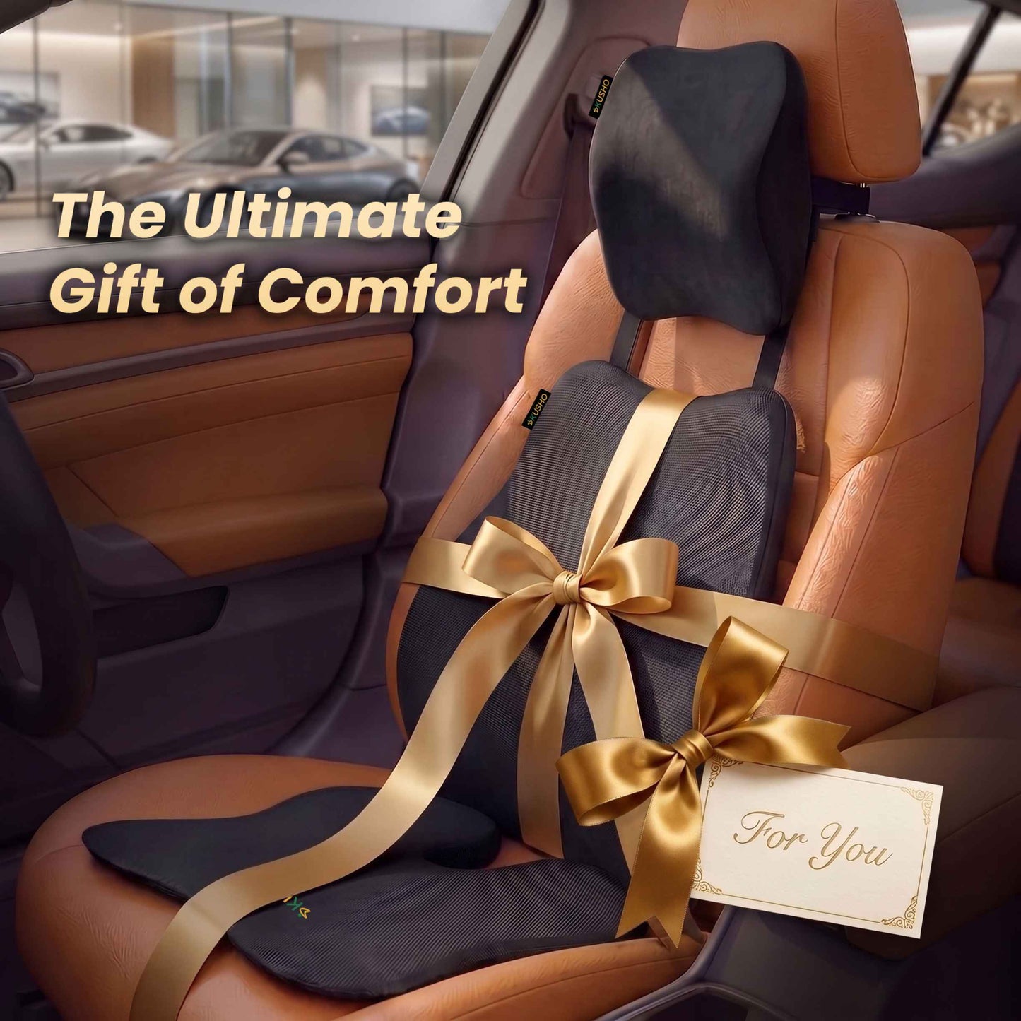 Kusho Car Comfort Combo