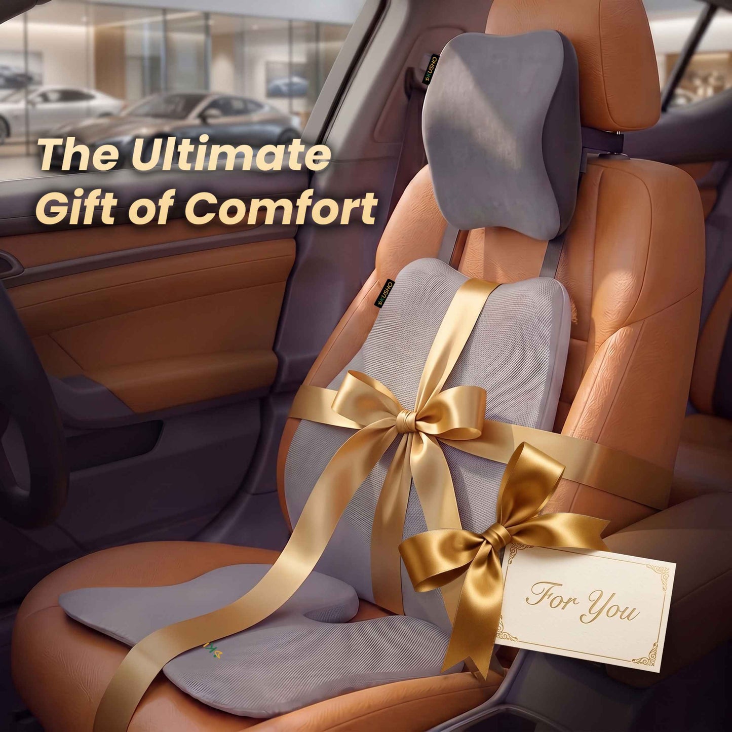 Kusho Car Comfort Combo