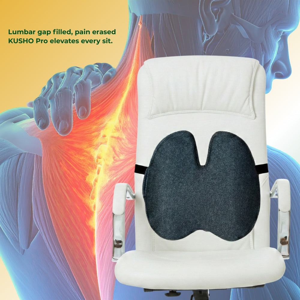 Kusho Lumbar Back Pro Cushion
