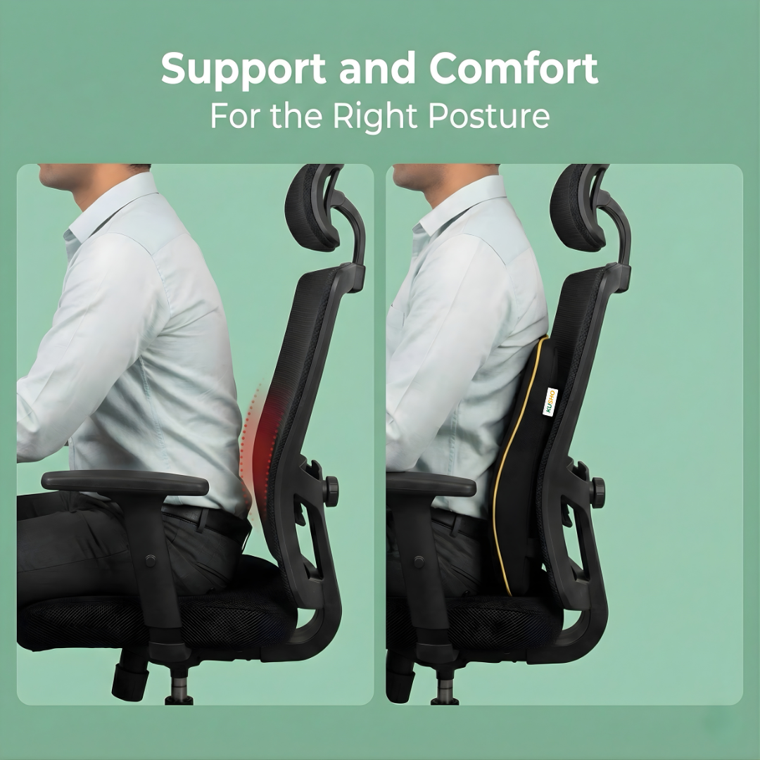 Kusho Ergo Lumbar Back Support